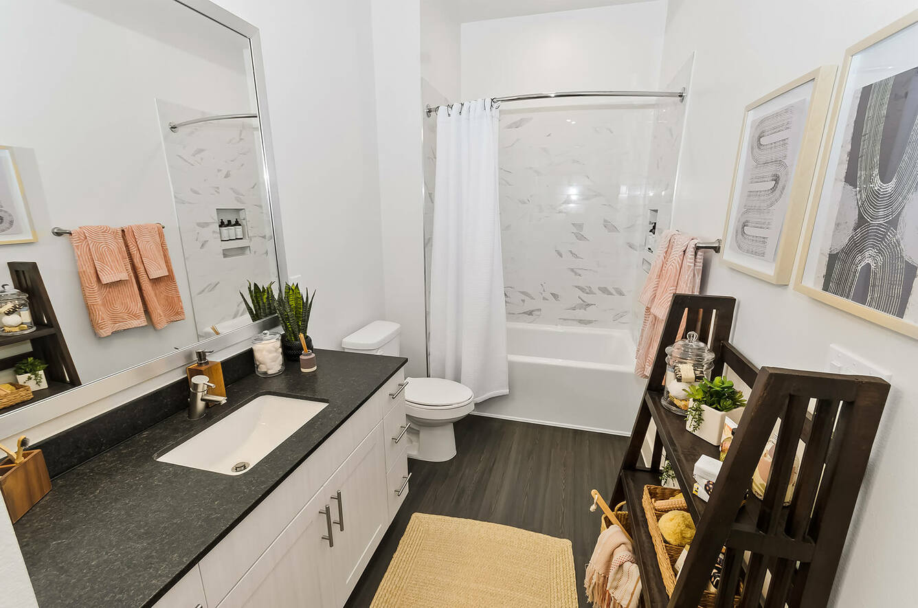 Apartments for Rent in Plano, TX Opal Legacy Central